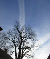 /album/fotogalerie/bildstoff-437-jpg/